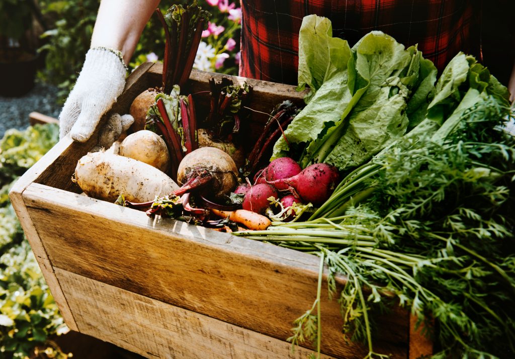 image troc légumes Trocoloco