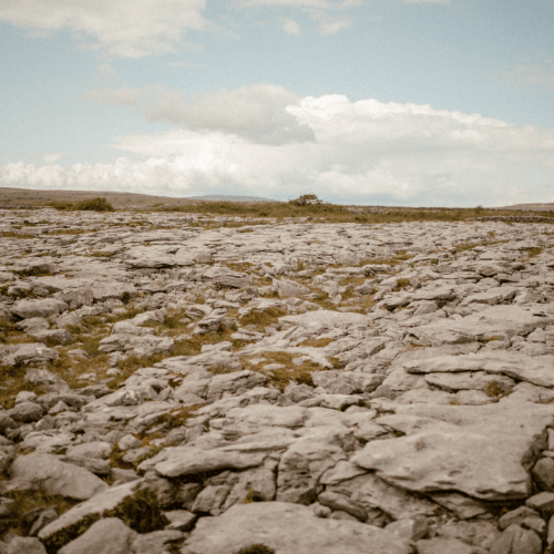 burren