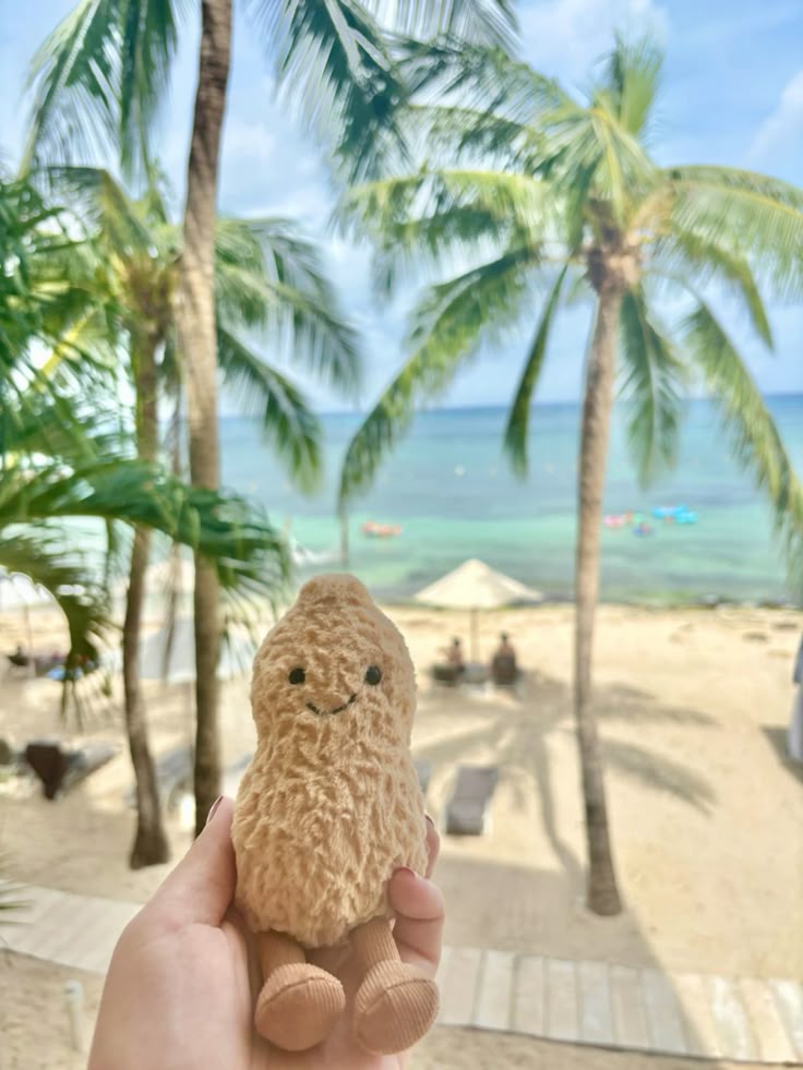 Mr Peanut in Cozumel